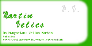 martin velics business card